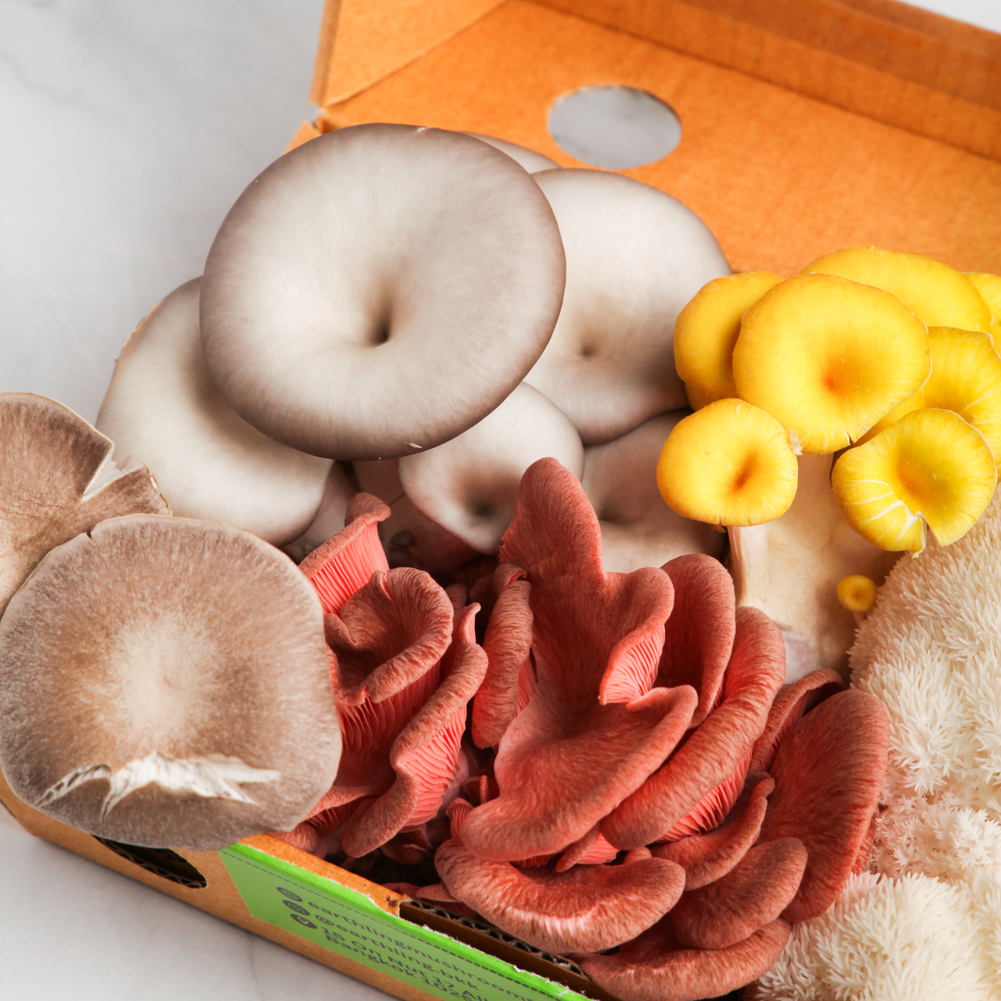 Organic Mixed Mushrooms - Earthling